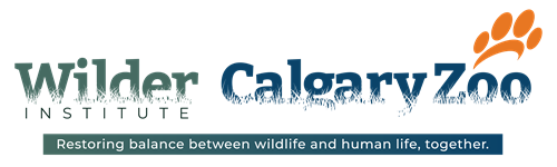 Wilderinstitute Calgaryzoo Cologo Flattag Rgb