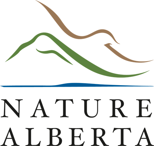 Nature Ab Logo Rgb